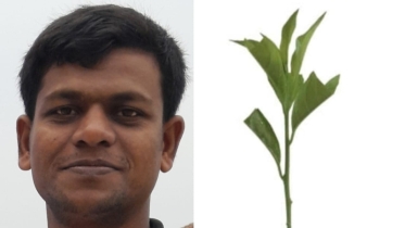 পরিবেশ ধ্বংস মানে আত্মবিনাশ: দায়িত্বটা আমাদেরই