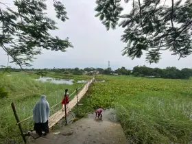 দুই উপজেলার যোগাযোগের বন্ধন এক বাঁশের সাঁকো