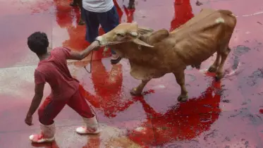 কোরবানীর দিন যে কাজগুলো অবশ্যই করা উচিত