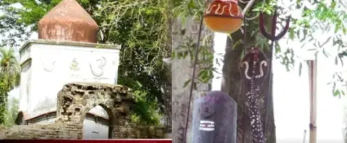 ১২০০ বছরের গুপ্তধন পাহারা দিচ্ছে সাপ!