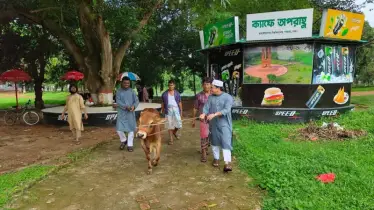 জাবিতে ছাত্রশিবিরের উদ্যোগে কোরবানি ও মধ্যাহ্নভোজ