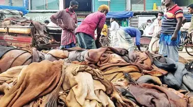 সিলেটে এবার ৭০ হাজার গরুর চামড়া সংগ্রহের লক্ষ্য