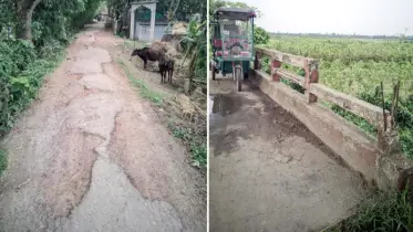 রায়পুরার চর মরজাল গাংকুল শাহী ঈদগাহ সড়কের বেহাল দশা