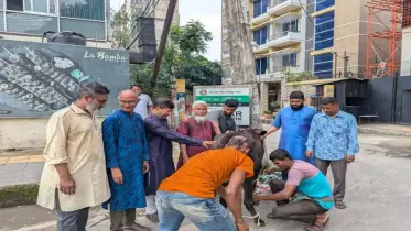 শহীদদের নামে কোরবানির মাংস বিতরণ করেছে জুলাই রেভ্যুলেশনারি অ্যালায়েন্স