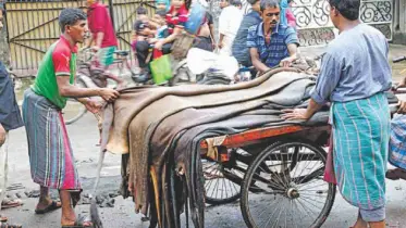 কোরবানীর পশুর কাঁচা চামড়ার দামে সিন্ডিকেট