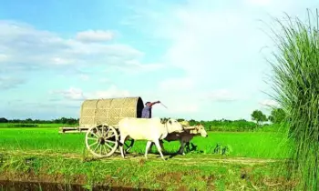 গ্রামবাংলার পথ ছেড়ে ইতিহাসের পাতায় হারিয়ে যাচ্ছে ঘোড়া ও গরুর গাড়ি
