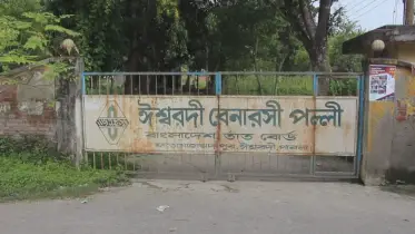 প্রতিকূলতা কাটিয়ে ঘুরে দাঁড়াতে পারছে না ঈশ্বরদী রেশম বীজাগার 