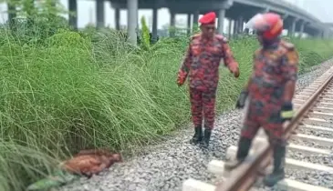 মুন্সীগঞ্জে রেললাইনের পাশ থেকে যুবকের মরদেহ উদ্ধার
