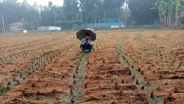 আসছে বর্ষা: প্রস্তুত তো গ্রাম?