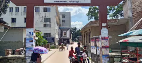 নানা বাড়ি বেড়াতে এসে পানিতে ডুবে ভাই-বোনের মৃত্যু 