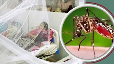বরিশালে চোখ রাঙাচ্ছে ডেঙ্গু, ২৪ ঘন্টায় তিন জনের মৃত্যু
