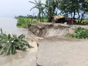 আবারও বেড়েছে ব্রহ্মপুত্র  নদের ভাঙ্গন, ১০০ পরিবার ভিটেমাটি হারা