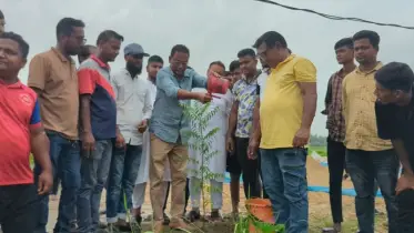 ধামরাইয়ে স্বেচ্ছাসেবক দলের মাসব্যাপী বৃক্ষরোপণ কর্মসূচির উদ্বোধন