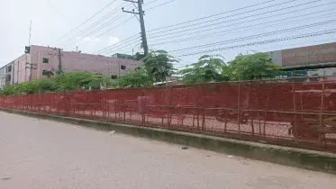 সারি সারি বৃক্ষে নান্দনিক রূপে দিরাই পৌর সড়ক