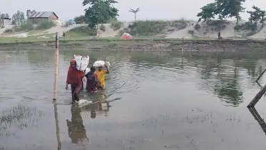 সাঁকো ভেঙে যাওয়ায় নদীর দুপারের মানুষ সাঁতার দিয়ে পাড়াপাড় হচ্ছে ! 