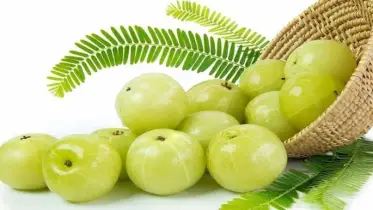 পুষ্টিগুণে ভরপুর ‘ফলের জননী’ আমলকি: জানুন কেন এই উপাধি