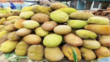 কাঁঠাল যে কারণে এখনো জনপ্রিয়
