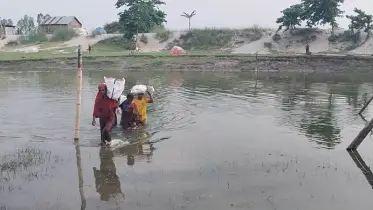 বাঁশের সাঁকো ভেঙে পড়ায় সাঁতরে পারাপার