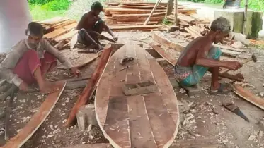 জৌলুশ কমছে চাঁদপুর সদর উপজেলায় কোষা ও ডিঙ্গি নৌকার