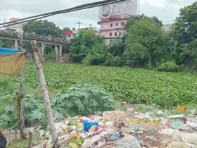 দোহারের জয়পাড়া খাল যেন মশার নিরাপদ প্রজননক্ষেত্র