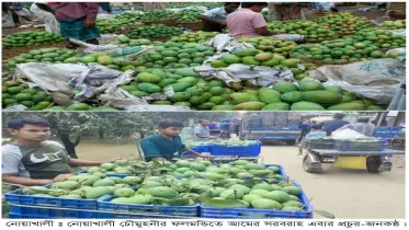 নোয়াখালী চৌমুহনীর ফলমন্ডিতে আমের সরবরাহ এবার প্রচুর, দামও সহনীয়