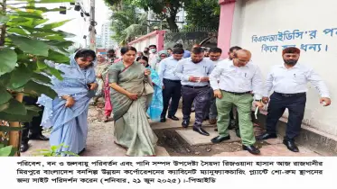 বাঁশ, বেতসহ কাঠের বিকল্প বহুমুখী পণ্য উৎপাদনে কাজ করছে সরকার — রিজওয়ানা হাসান