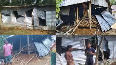 নালিতাবাড়ীতে বন্যহাতির তাণ্ডবে ঘরবাড়ি তছনছ