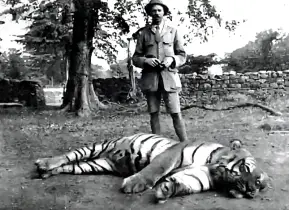 রক্তে লেখা ইতিহাস: চম্পাবতের মানুষখেকো বাঘিনীর গল্প