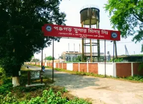 পঞ্চগড় সুগার মিল পুনরায় চালু হলে বদলে যাবে উত্তরের অর্থনীতির দৃশ্যপট