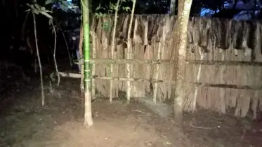 পিরোজপুরে বাড়ির রাস্তায় বেড়া ও গাছ রোপণ, ৯ দিন অবরুদ্ধ ৭ পরিবার 