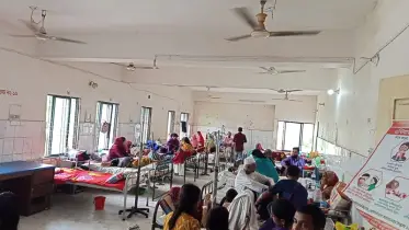 নেছারাবাদে বাড়ছে ডেঙ্গুর প্রভাব, ২৪ ঘণ্টায় হাসপাতালে ভর্তি ৫ জন