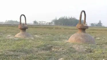 লক্ষ্মীপুরে ৭০ বছরের রহস্যময় বয়া, ইতিহাস জানে না কেউ