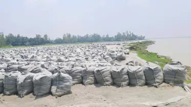 কচ্ছপ গ‌তি‌তে চল‌ছে পাউবোর ডা‌ম্পিং, ভি‌টে হারিয়ে নিঃশ্ব হচ্ছে মানুষ