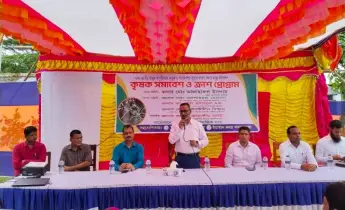 পারথেনিয়াম নিয়ে আতঙ্ক নয়, প্রয়োজন সচেতনতা ও সম্মিলিত নিধন উদ্যোগ