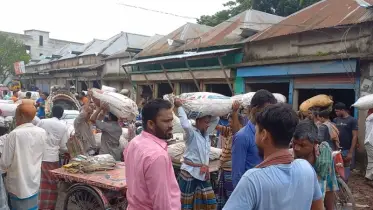 সালথায় পেঁয়াজের দাম কমে যাওয়ায় লোকসান চাষিদের