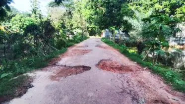 কাঞ্চনগরের মোস্তান আলী শাহ মাজার সড়কের বেহাল দশা