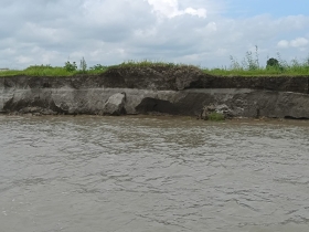 চরভদ্রাসনে ভাঙ্গনে আতঙ্কে পদ্মাপাড়ে মানুষ