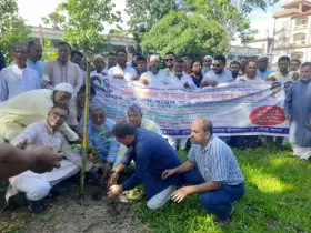 নবীনগরে কৃষক দলের ওয়ার্ড সম্মেলনের প্রস্তুতিমূলক সভা ও বৃক্ষরোপণ কর্মসূচির শুভ উদ্বোধন