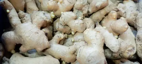 হাজারো গুণের প্রাকৃতিক ওষুধ আদা