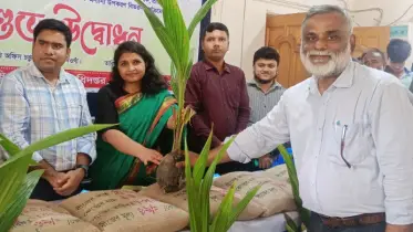 বদলগাছীতে প্রান্তিক কৃষকদের মাঝে বিনামূল্যে বীজ, চারা ও সার বিতরণ
