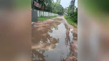 সাতক্ষীরা সরকারি কলেজ–মাছখোলা রোডের বেহাল দশা: শিক্ষার্থীদের চরম দুর্ভোগ