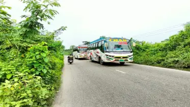 ঢাকা বরিশাল মহাসড়কের ফুটপাত জঙ্গলে ঢাকা পড়েছে, ঘটছে দুর্ঘটনা 