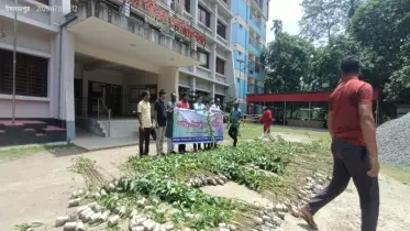 ইসলামপুরে পরিবেশ বিধ্বংসী ইউক্যালিপটাস ও আকাশমনি গাছের চারা ধ্বংস করলেন ইউএনও