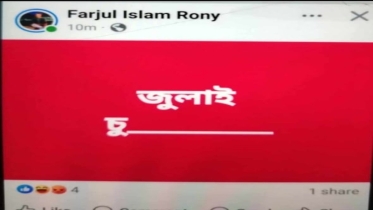 জুলাই বিপ্লব নিয়ে ফেসবুকে আপত্তিকর পোস্ট, তদন্ত কমিটি গঠন