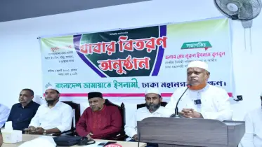 ক্ষমতাসীনরা নিজের স্বার্থে বারবার সংবিধান সংশোধন করেছে: বুলবুল 
