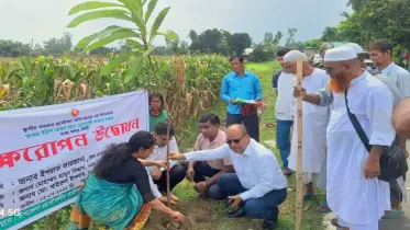 ঠাকুরগাঁওয়ে ১০লাখ বৃক্ষরোপণ   কর্মসূচির আনুষ্ঠানিক উদ্বোধন