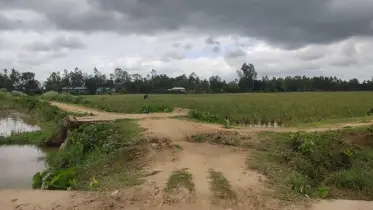 ঝিনাইগাতিতে কাঁচা রাস্তার বেহাল অবস্থা, বৃষ্টিতে অচল জনজীবন