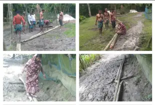 বাকেরগঞ্জে সড়কের উপর গাছের সাঁকো, দুর্ভোগে হাজারো মানুষ