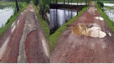 কলাপাড়ায় পাঁচ কিলোমিটার সড়ক বেহাল, ১৯ গ্রামের মানুষের চরম দুর্ভোগ