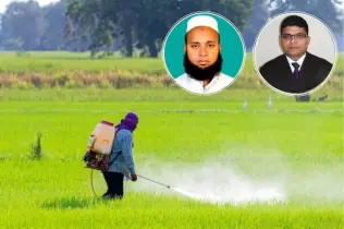 বালাইনাশকের প্রভাবে হুমকিতে কৃষি, প্রাণিসম্পদ ও জনস্বাস্থ্য
